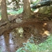 DSC00646
