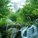 skaklya5